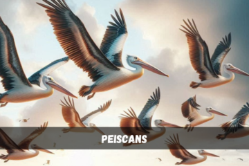 peiscans