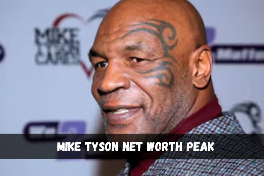 mike tyson net worth peak