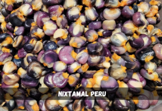 nixtamal peru