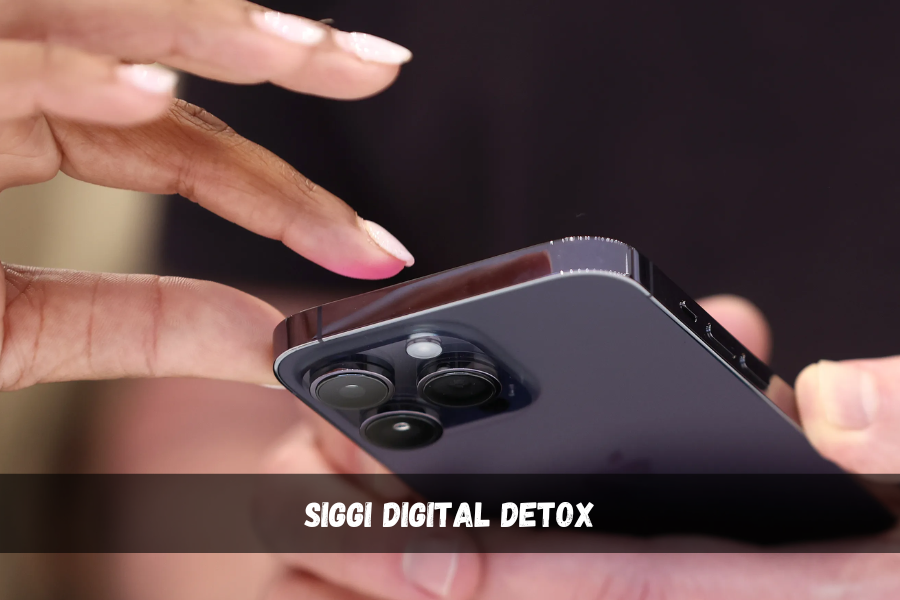 siggi digital detox