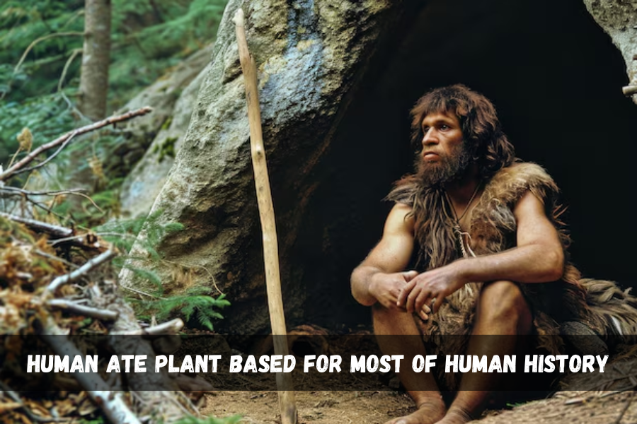 human ate plant based for most of human history