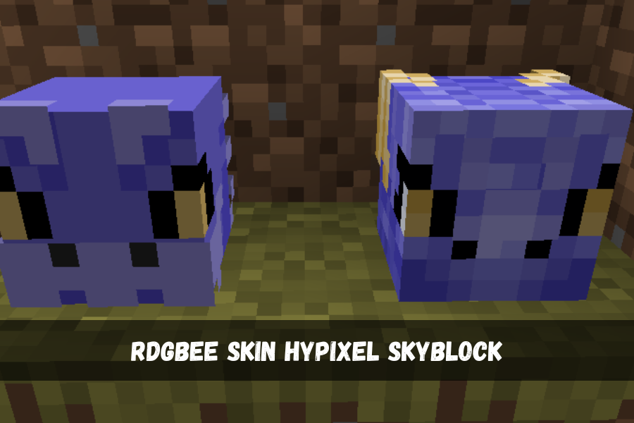 rdgbee skin hypixel skyblock