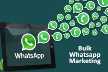 Master WhatsApp Marketing