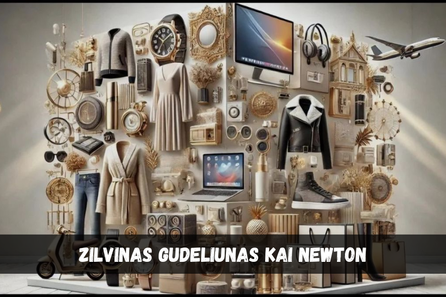 zilvinas gudeliunas kai newton