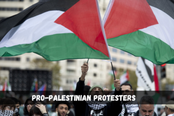 pro-palestinian protesters