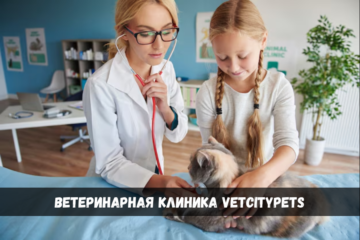 ветеринарная клиника vetcitypets