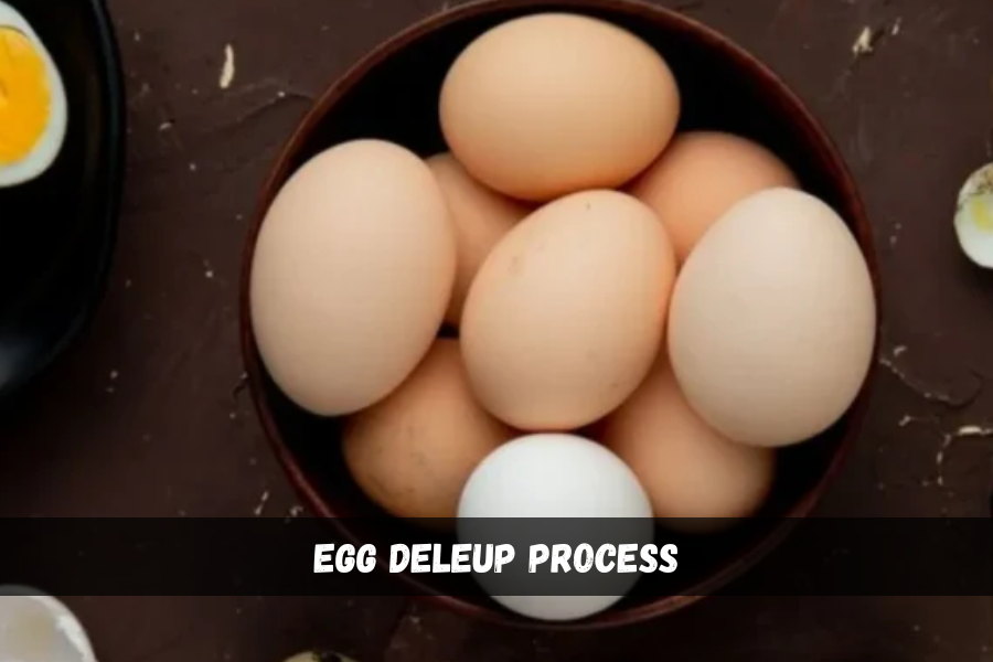 egg deleup process